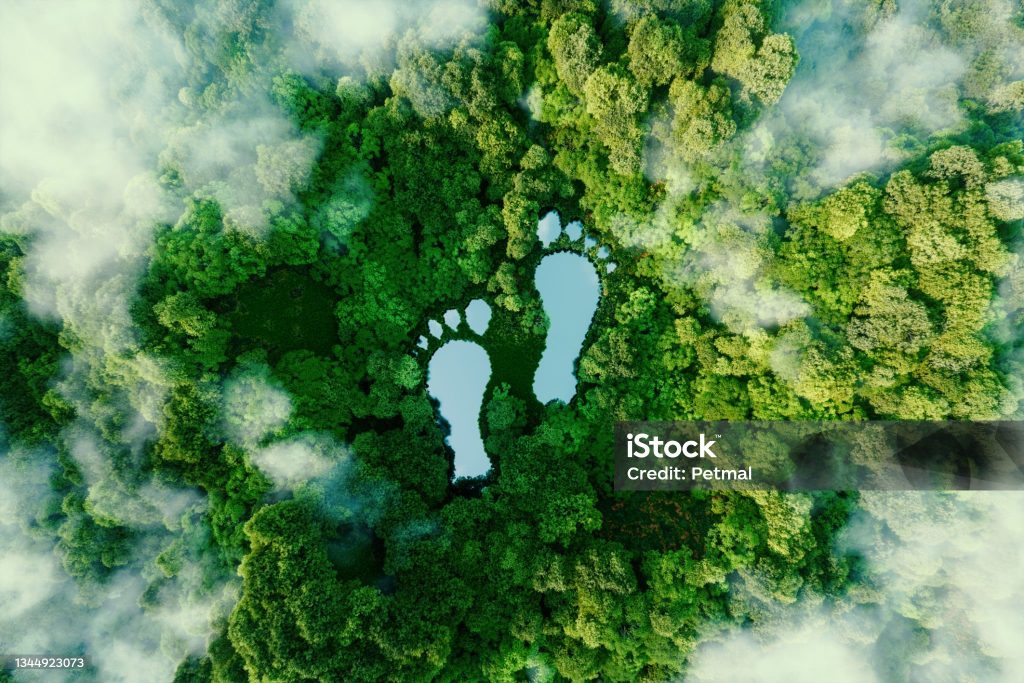 istockphoto-1344923073-2048x2048